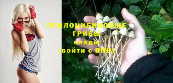 не бодяженный Алзамай
