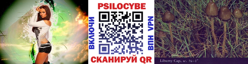 Псилоцибиновые грибы Cubensis  OMG ссылка  Архангельск 